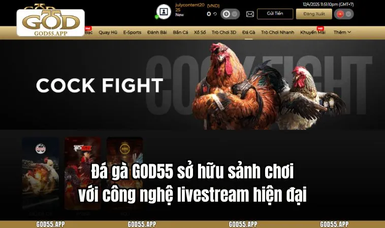 Đá gà GOD55 sở hữu sảnh chơi với công nghệ livestream hiện đại