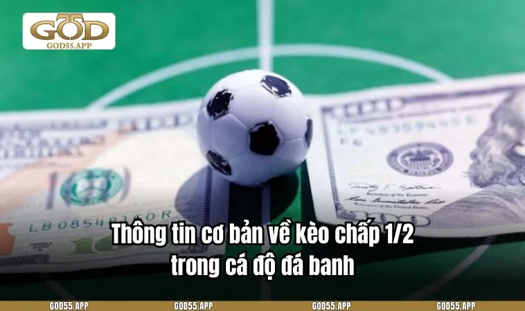 Thông tin cơ bản về kèo chấp 1/2 trong cá độ đá banh