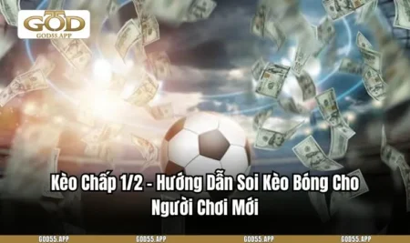 Kèo Chấp 1/2 – Hướng Dẫn Soi Kèo Bóng Cho Người Chơi Mới