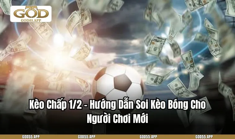 Kèo Chấp 1/2 – Hướng Dẫn Soi Kèo Bóng Cho Người Chơi Mới